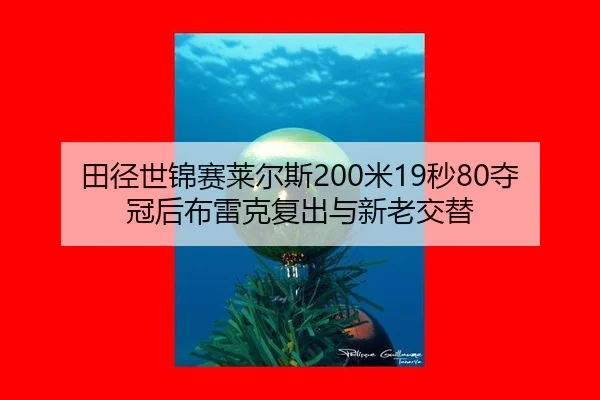 tian-jing-shi-jin-sai-lai-er-si-mi-miao-duo-guan-hou-bu-lei-ke-fu-chu-yu-xin-lao-jiao-ti-3-728.jpg